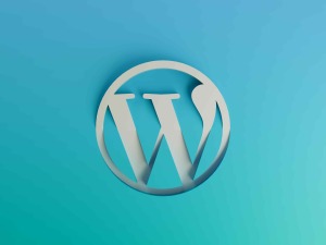 wordpress website