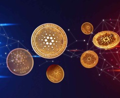 cardano