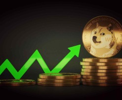 doge coin price up