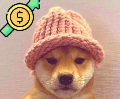 dogwifhat (WIF)