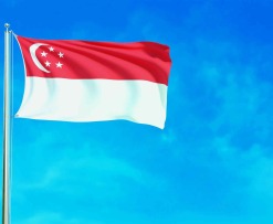 singapore flag