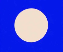 bald-crypto-logo